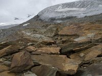 CH, Wallis, Saas Fee, Feegletscher 50, Saxifraga-Willem van Kruijsbergen